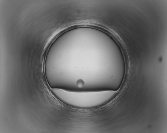 X0000116161224200912141213
