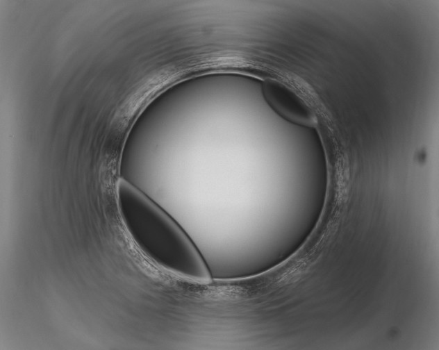 X0000116161225200912141213