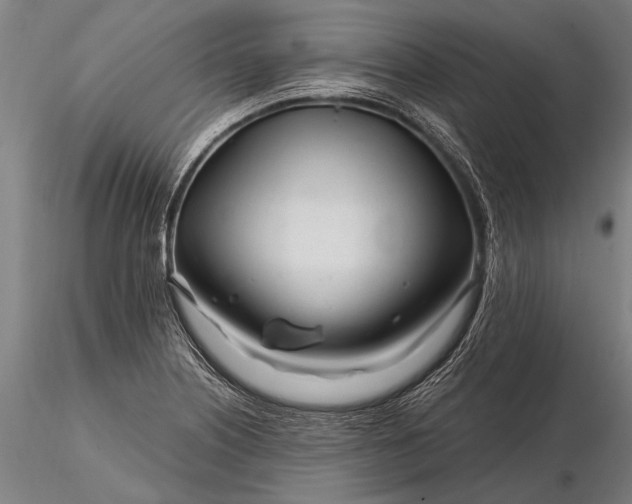 X0000116161226200912141213