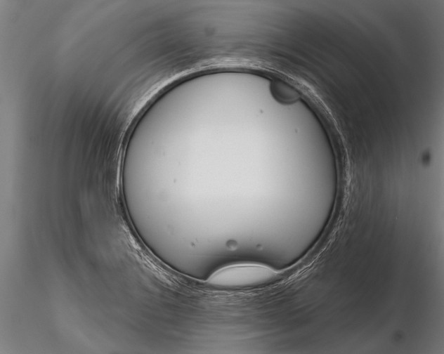 X0000116161228200912141213