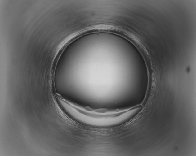 X0000116161229200912141213