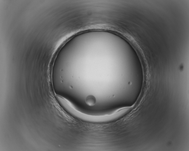 X0000116161230200912141213