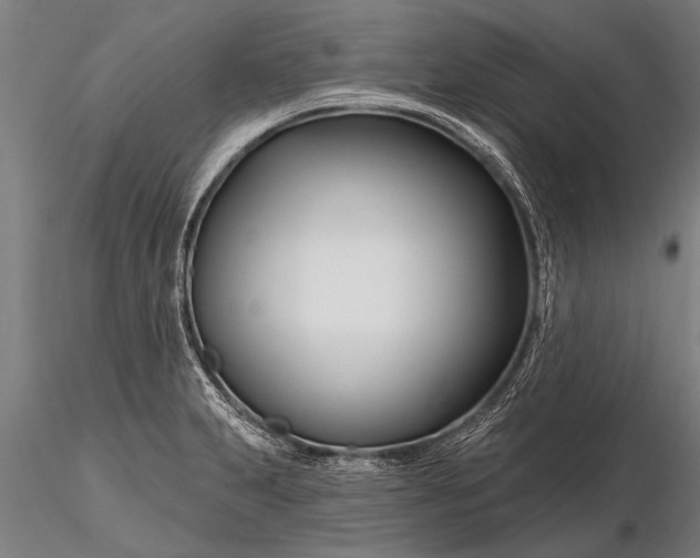 X0000116161231200912141213