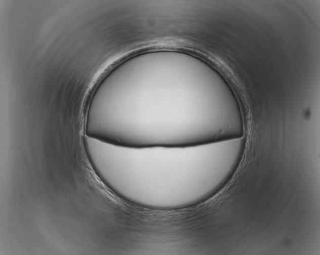 X0000116161232200912141213