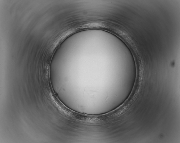 X0000116161233200912141213