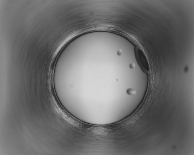 X0000116161235200912141213