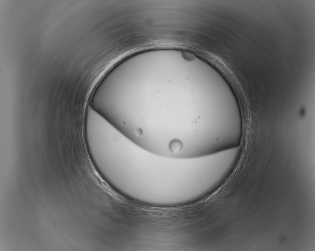 X0000116161236200912141213