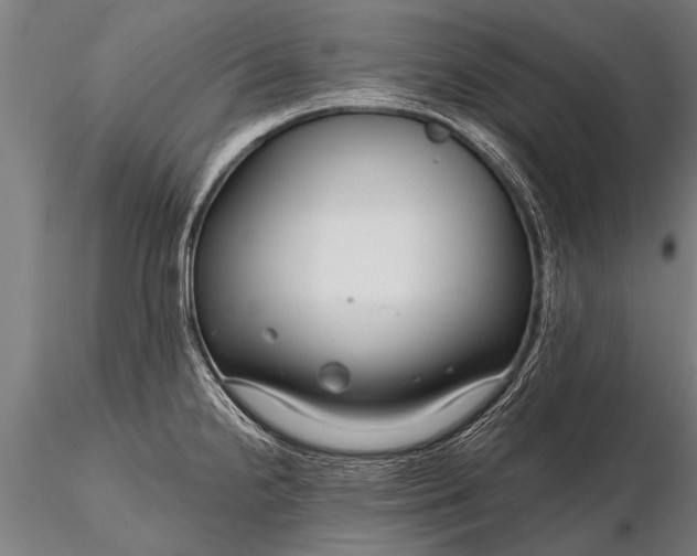 X0000116161238200912141213