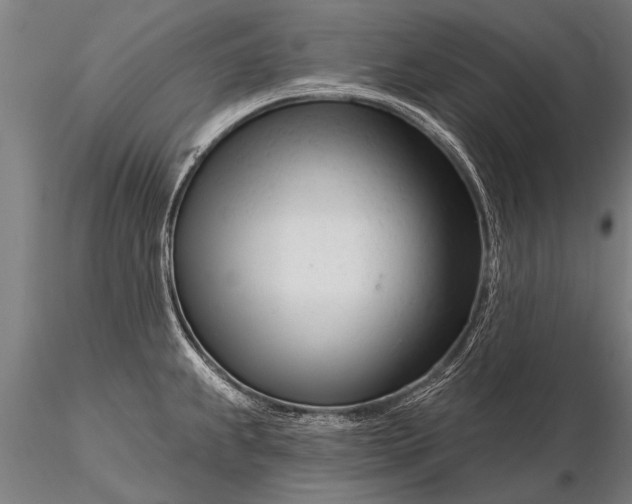 X0000116161239200912141213