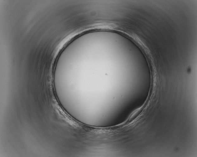 X0000116161240200912141213