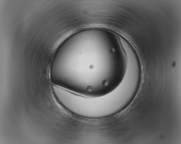X0000116161241200912141213