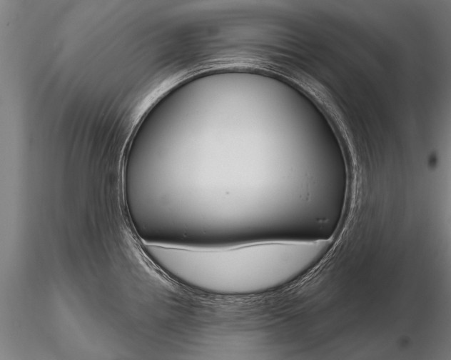 X0000116161242200912141213