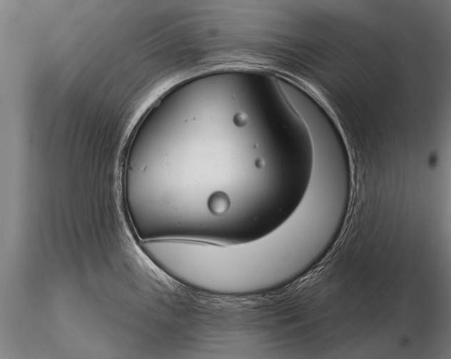 X0000116161243200912141213