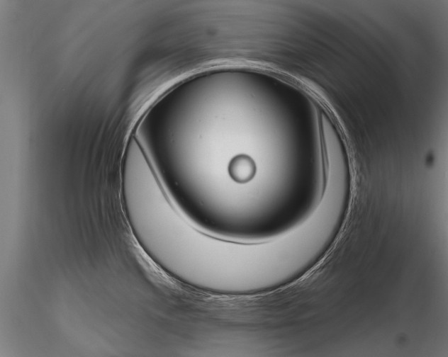 X0000116161244200912141213