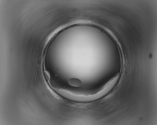 X0000116161245200912141213