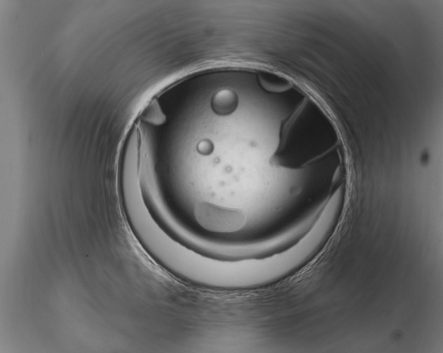 X0000116161246200912141213
