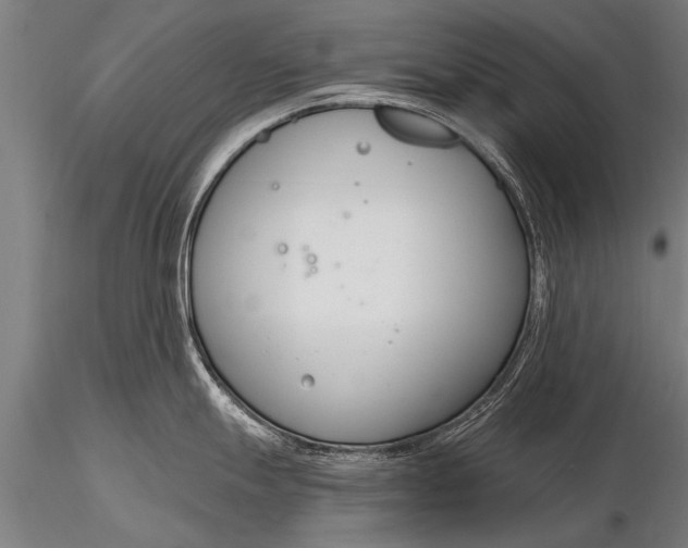 X0000116161247200912141213
