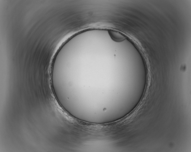 X0000116161248200912141213