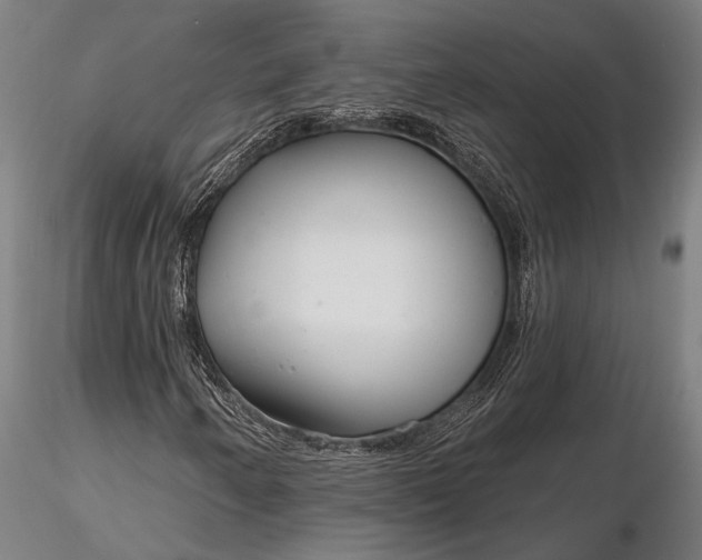X0000116161250200912141213