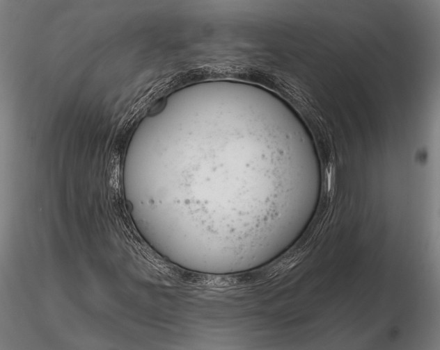 X0000116161251200912141213