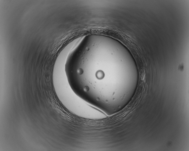 X0000116161252200912141213