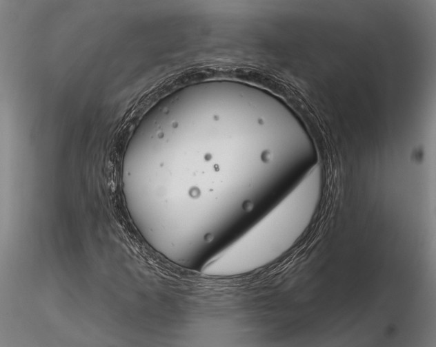 X0000116161253200912141213