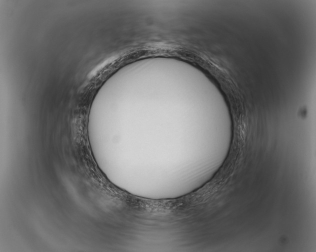 X0000116161254200912141213