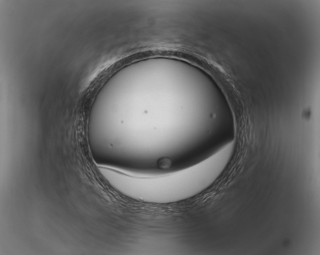 X0000116161255200912141213