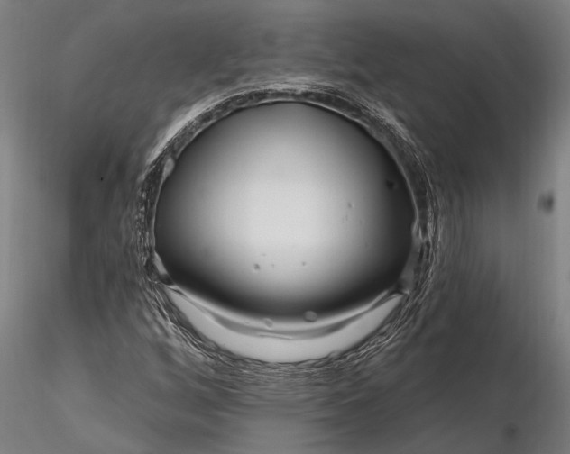 X0000116161256200912141213