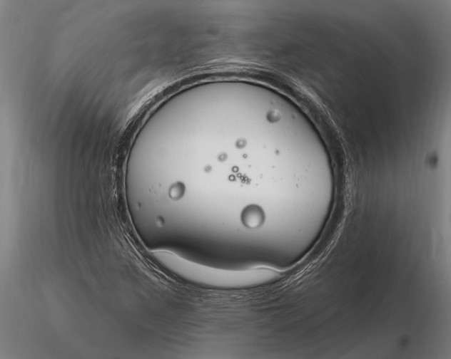 X0000116161259200912141213