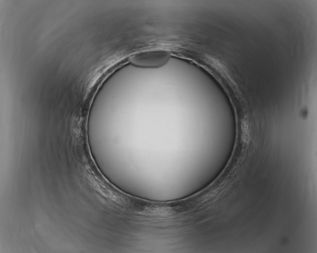 X0000116161260200912141213