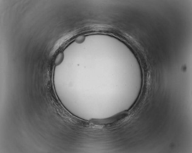 X0000116161261200912141212