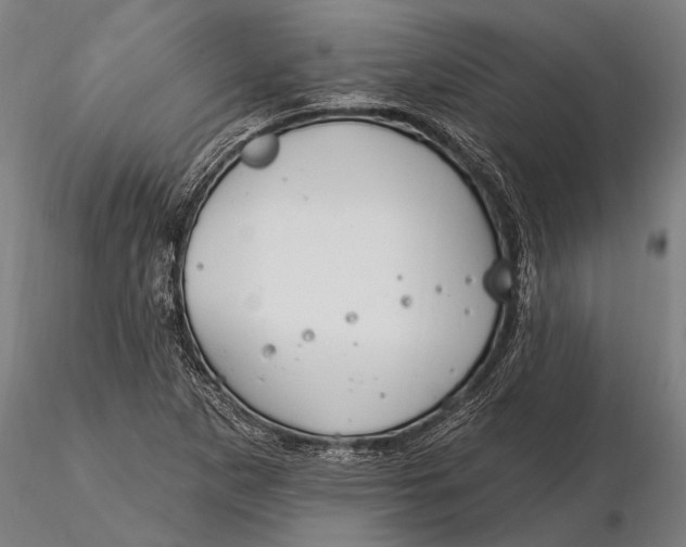 X0000116161265200912141212
