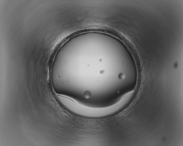 X0000116161267200912141212