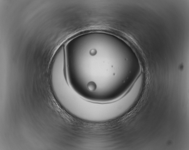 X0000116161268200912141212