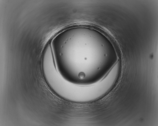 X0000116161269200912141212