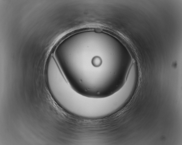 X0000116161272200912141212