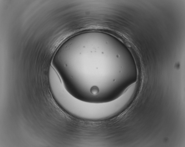 X0000116161273200912141212