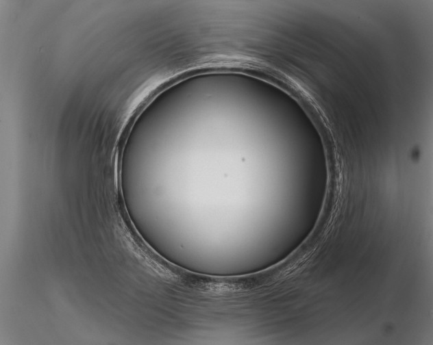 X0000116161275200912141212
