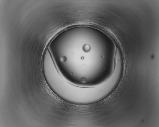 X0000116161276200912141212