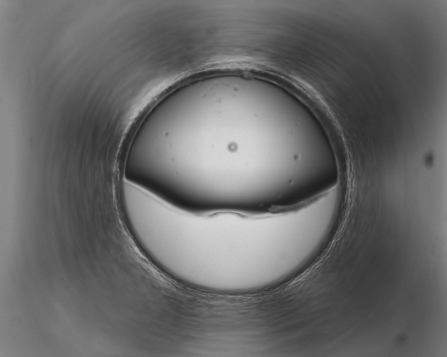 X0000116161277200912141212