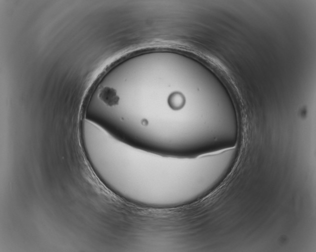 X0000116161280200912141212