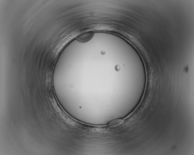 X0000116161281200912141212