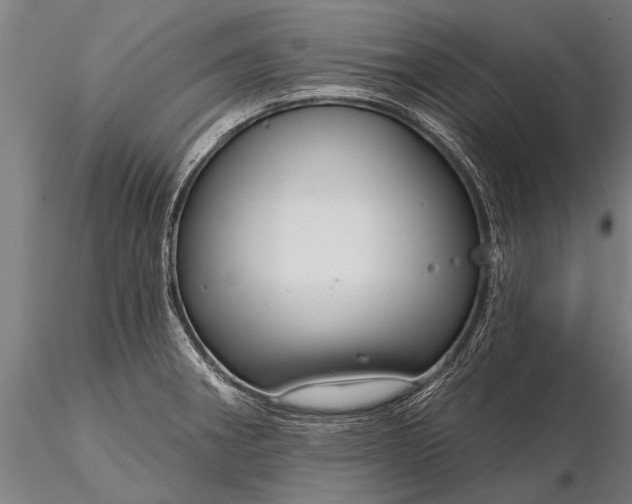 X0000116161282200912141212