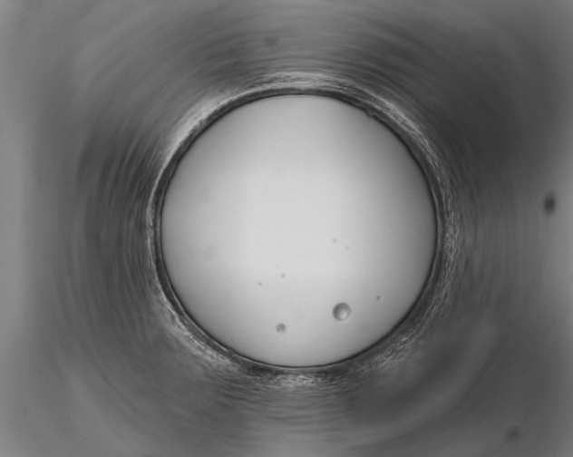 X0000116161283200912141212