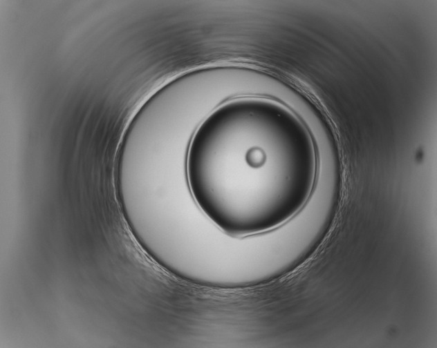 X0000116161284200912141212