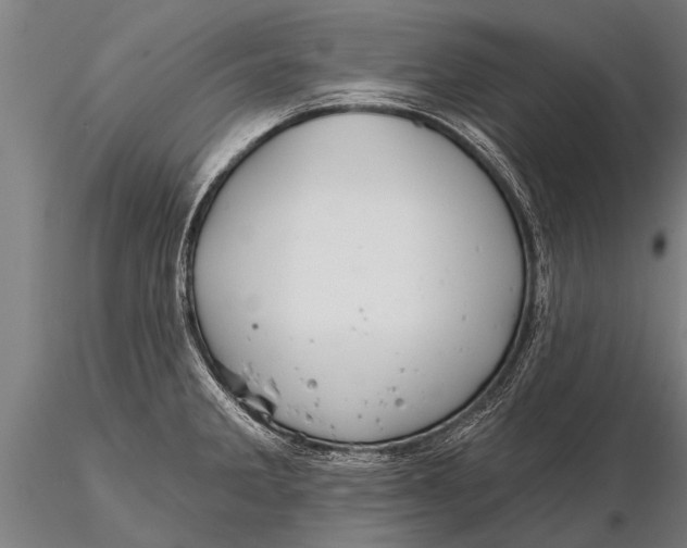 X0000116161285200912141212