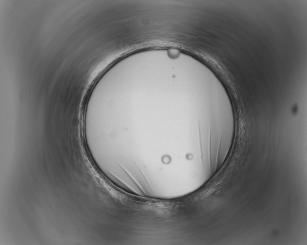 X0000116161286200912141212