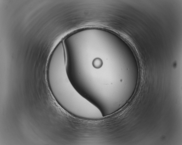 X0000116161288200912141212