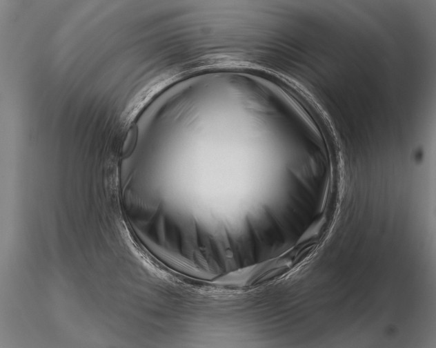 X0000116161289200912141212